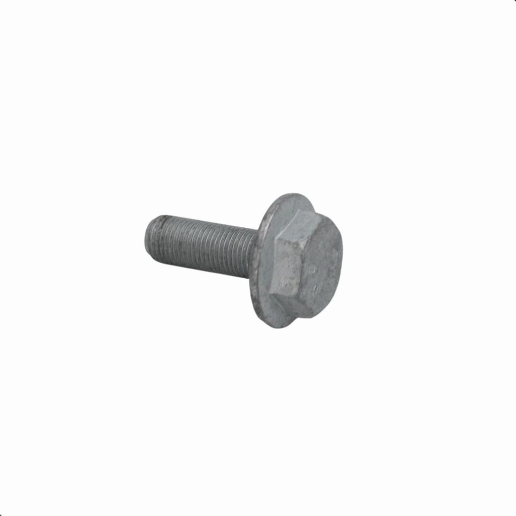 Parafuso Polia Do Comando De Válvula K4m 1.6 16v Clio 2 Uni