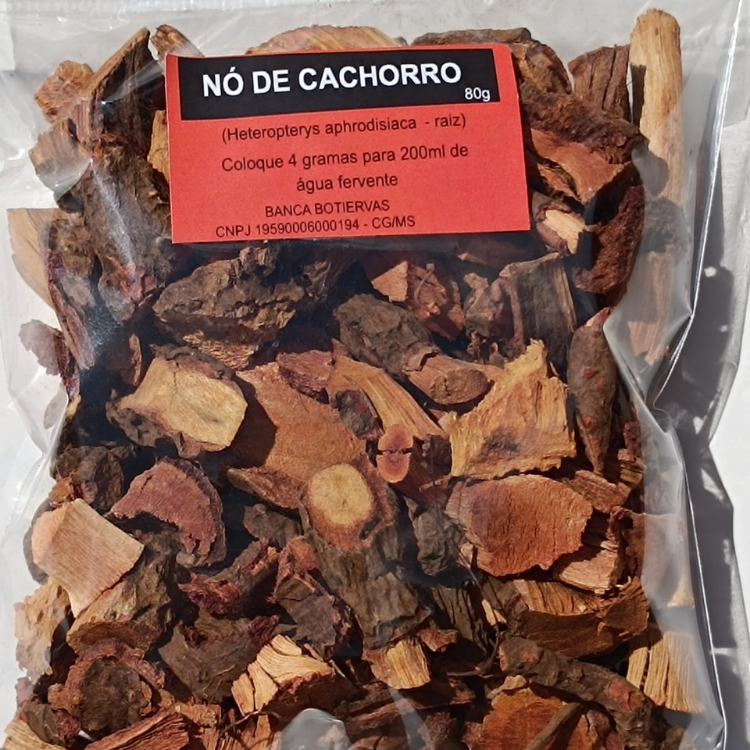 NÓ DE CACHORRO RAIZ